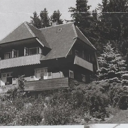 Matz Apartment