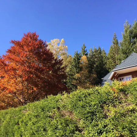 Matz Apartment Feldberg (Baden-Wurttemberg)